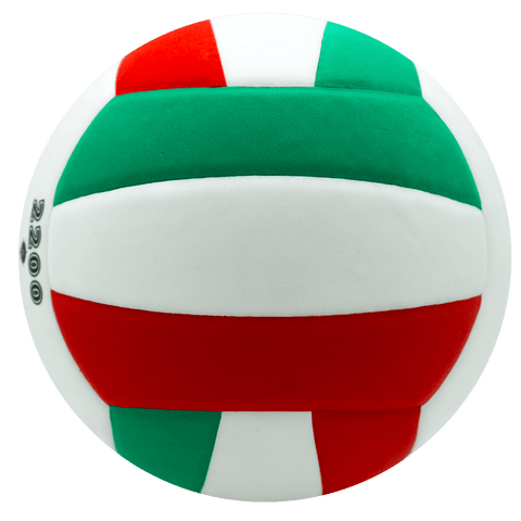 Balón de Voleibol Molten V5C2200 - Molten ColombiaBalón de Voleibol